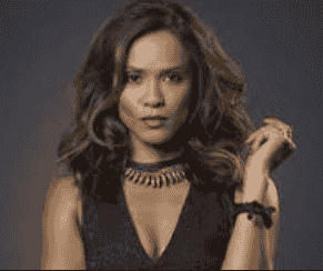 Lesley-Ann Brandt Net Worth