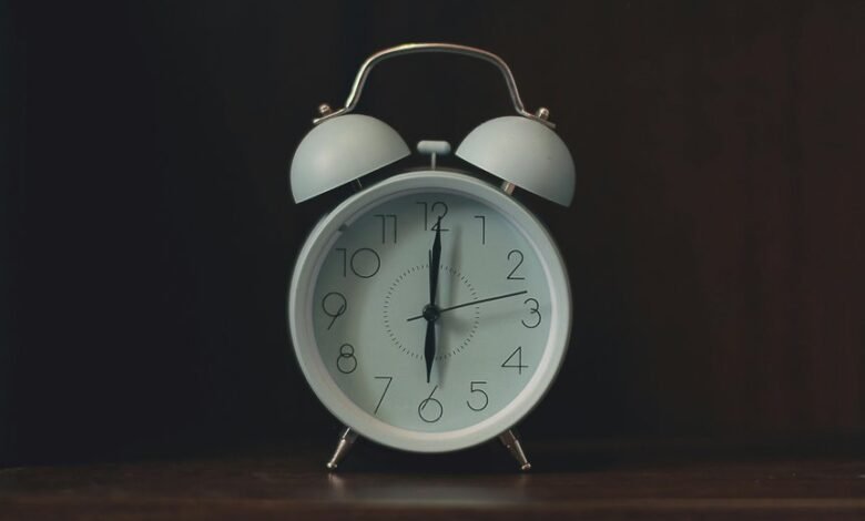 eel behavior at morning