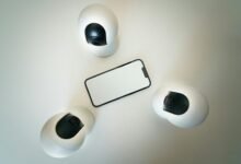 fraud risk hotline numbers